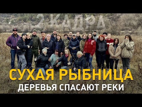 Видео: Сухая Рыбница. Деревья спасают реки. 2 кадра 25.11.2021