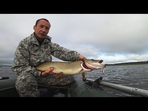 Видео: СУМАСШЕДШАЯ ПОКЛЁВКА ЩУКИ. Разловил новый воблер.