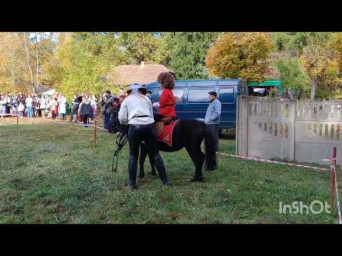 Видео: Казачий конный театр ,,Есаул" приглашает на концерт.