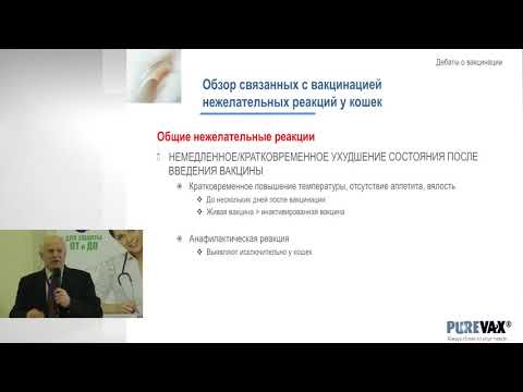 Видео: Жан-Кристоф Тибо - Вакцинация кошек: Достаточно, но не чрезмерно - и продуманно выбирая вакцины