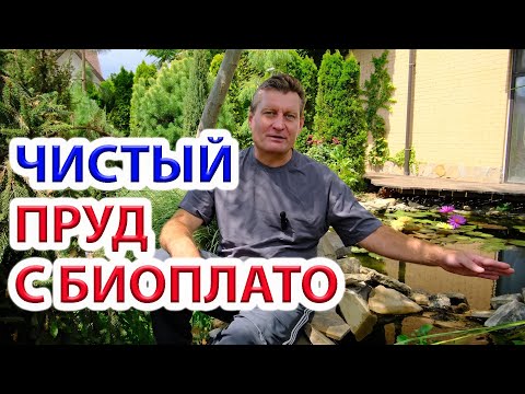 Видео: Чистый пруд с биоплато  + скиммер + песчаный фильтр + карпы КОИ