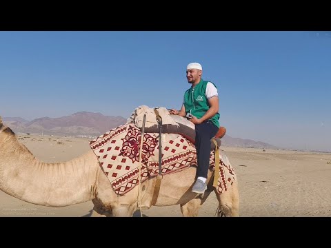 Видео: САЁҲАТИ ҲОҶИЁНАМОН БА  ФЕРМАИ ШУТУРҲО