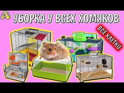 Видео: ВСЕ КЛЕТКИ МОИХ ХОМЯКОВ / УБОРКА у ВСЕХ ХОМЯКОВ / Cleaning hamster's cages / Алиса Изи