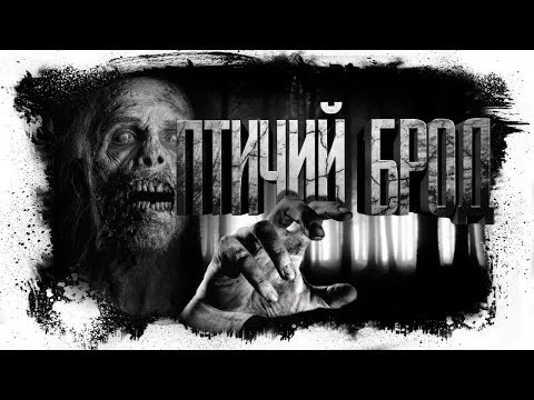 Видео: История На Ночь  -  Птичий брод (Перезалив)