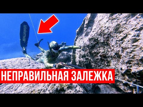 Видео: Подводная охота в залежке / 6 лайфхаков для повышения эффективности!