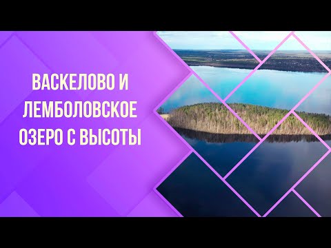 Видео: Васкелово и Лемболовское озеро с высоты.