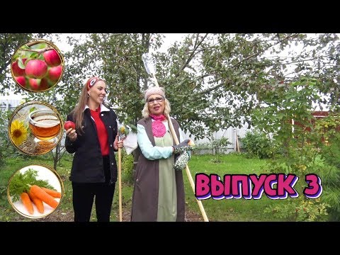 Видео: Ганичкина LIFE Сбор урожая, Цеолит и Травяной чай с грядки.