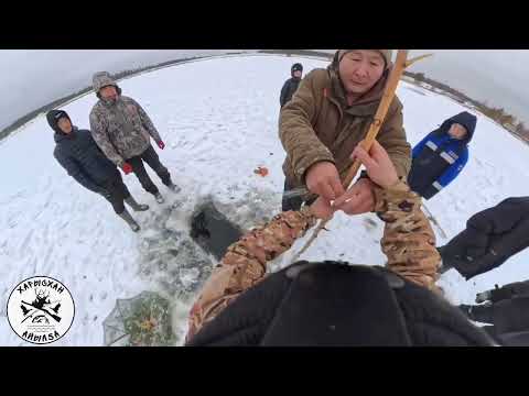 Видео: Муус аннынан илимнээһин Бэрдьигэстээх {ДАМБА 2025} 
