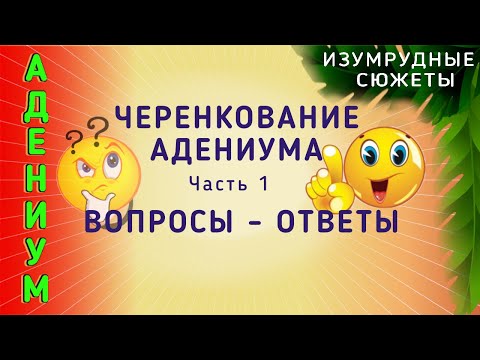 Видео: Адениум. Черенкование| Укоренение Адениума. 1 Часть. Вопросы И Ответы.