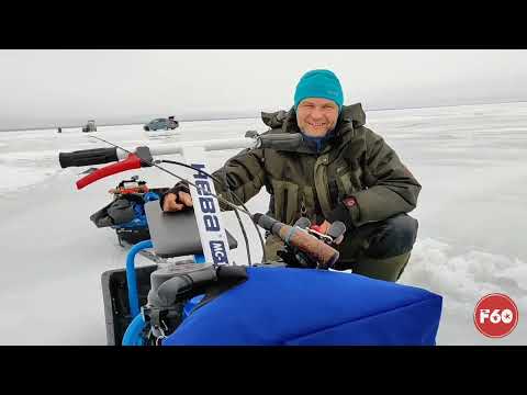 Видео: Мотобуксировщик НЕВА МС1- ZS.  Гоняем на двух бешенных табуретках!