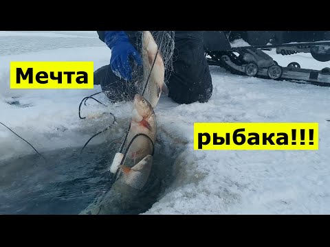 Видео: Мечта рыбака!!!