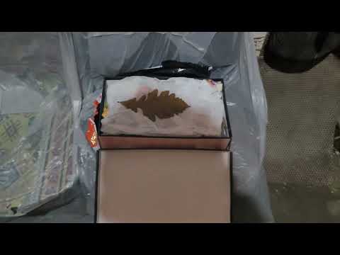 Видео: Дуб белый,(съедобные жёлуди)посадка саженцев👍💪🌳