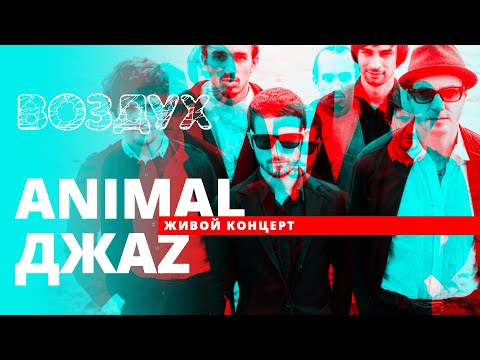 Видео: Animal ДжаZ // ВОЗДУХ // НАШЕ