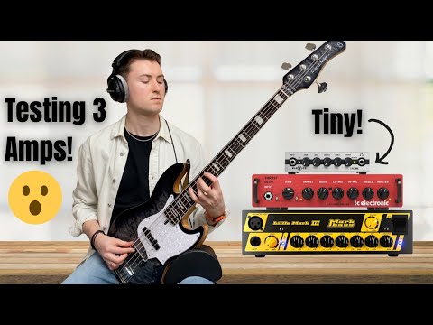 Видео: Сравнение басовых усилителей: Markbass, TC Electronic и Warwick