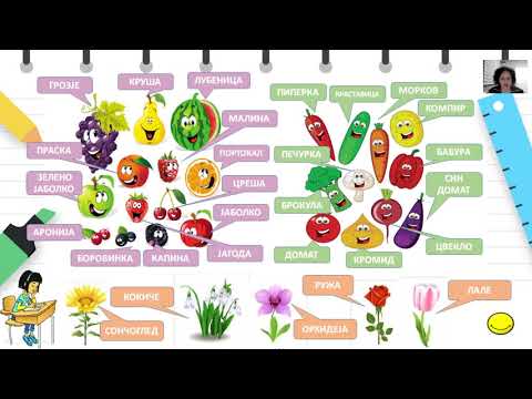 Видео: II одделение - Македонски јазик - Поим за реченица. И растенијата имаат име