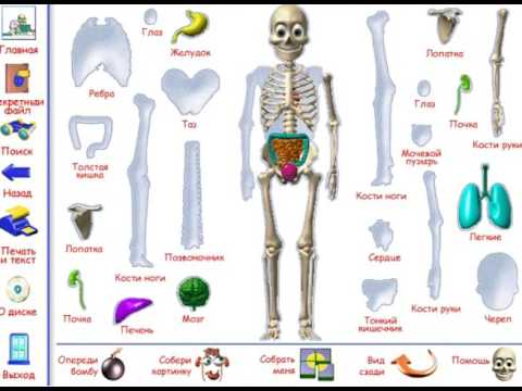 Видео: турболетсплей - как устроено моё тело