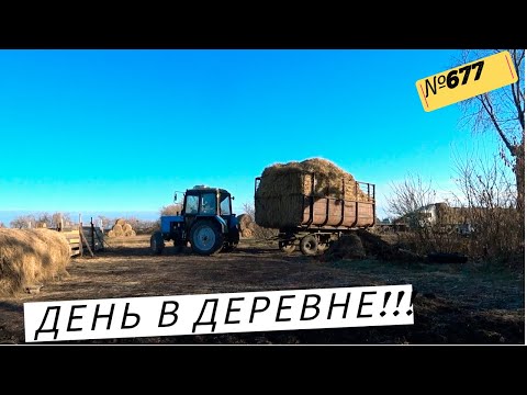 Видео: Фермерские будни в Сибири — удивительные моменты! Жизнь в Омской деревне.