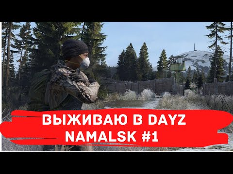 Видео: DayZ Namalsk. Выживание. Серия №1