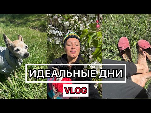 Видео: VLOG. Не сплю по ночам, привлекаю к себе внимание, хожу в консерваторию.