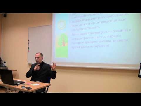 Видео: Лето отношений. Нарушевич Р., ч.1 (28.01.2013)