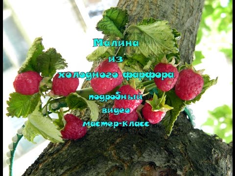 Видео: малина из холодного фарфора