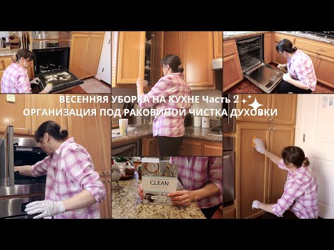 Видео: Весенняя Уборка на Кухне Мою Технику  Фасады Расхламление и Организация под Раковиной #лайфхаки,