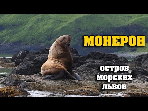Видео: Остров Монерон.