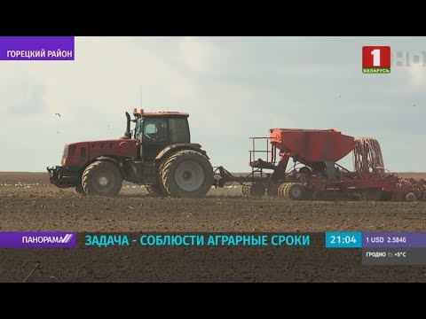 Видео: Посевная-2020: о горячей поре из первых уст. Панорама