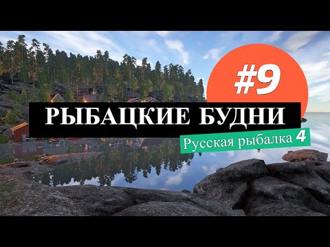 Видео: 🎣 Рыбацкие будни #9: Квалификация Ультралайт 5 кг / Русская рыбалка 4 / #рр4