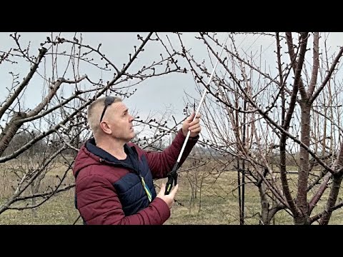 Видео: 👍💪🍒Как улучшить аккумуляторный опрыскиватель.Часть-1.