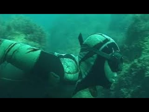 Видео: Подводная охота: Черное море