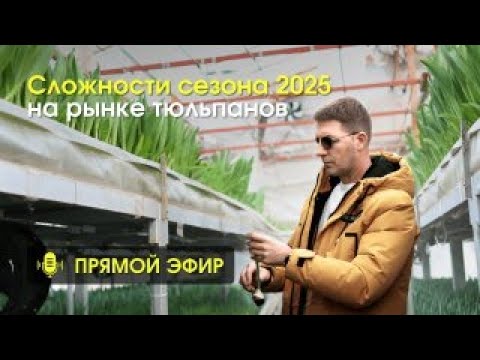 Видео: Текущая ситуация и как оперативно решить возникающие сложности. Ответы на вопросы.