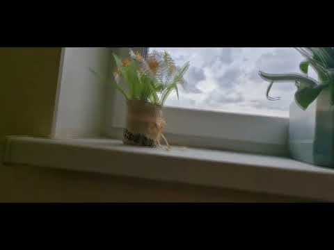 Видео: ✨12-этажка, прошедшая кап. ремонт! Лифты КМЗ(МосЛифт)(Q=320, V=1.0, 1976(2002) г.в.)