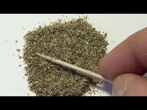 Видео: Ромашка аптечная. Препараты, от чего и как правильно выбрать.