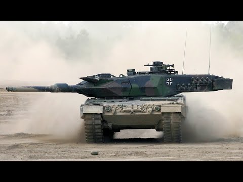 Видео: Леопард и другие.