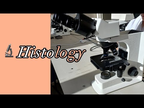 Видео: Микроскоп құрылысы.Микроскоппен жұмыс жасау🔬|Препарат қарау|#гистология