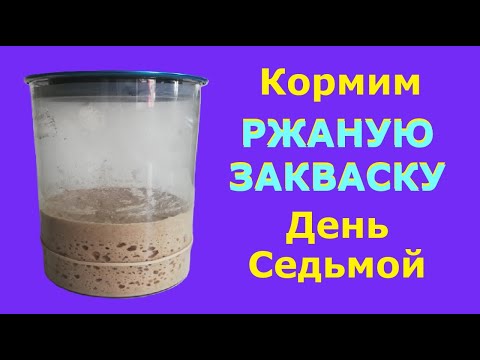 Видео: Просто КОРМИМ РЖАНУЮ ЗАКВАСКУ #закваска #закваскадляхлеба