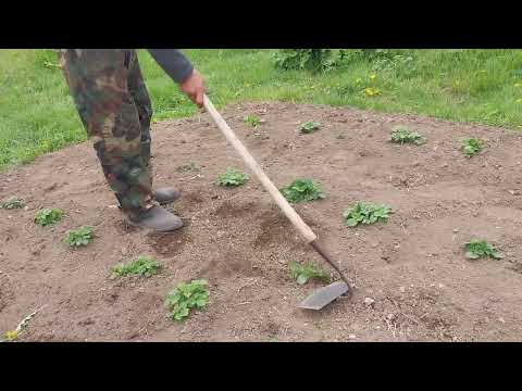 Видео: Плоскорезы Швабра.