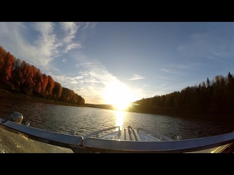 Видео: Рыбалка Тавда 23.09.25