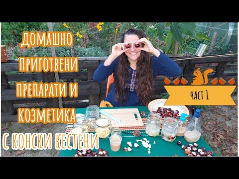 Видео: Конски кестен - домашно приготвени перилни и почистващи препарати и козметика. част 1