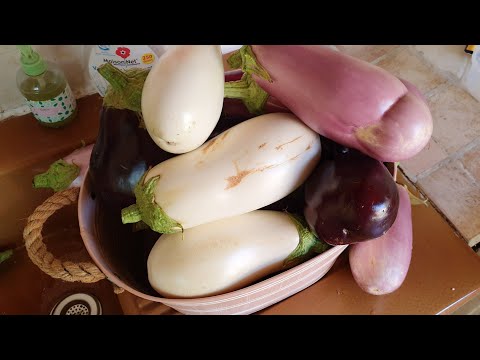 Видео: ВЛОГ из Прованса/ Что цветет в саду/Август горячая пора!  Сходила в ОГОРОД и ВОТ/Баклажаны на зиму!