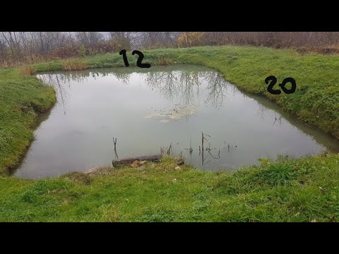 Видео: Власний ставок. Особливості формування ставка і догляду за озером. Яку рибу краще запускати?