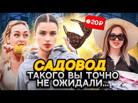 Видео: ДОРОГОЙ vs ДЕШЕВЫЙ лук на САДОВОДЕ / НА ЧТО ГОТОВЫ ГЕНСУХА И НАСТЯ BADBARBIE РАДИ ПОБЕДЫ?