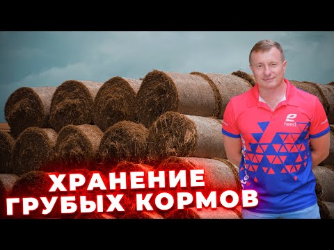 Видео: Что такое грубые корма?Как их хранить?Как определить влажность корма без специального оборудования?