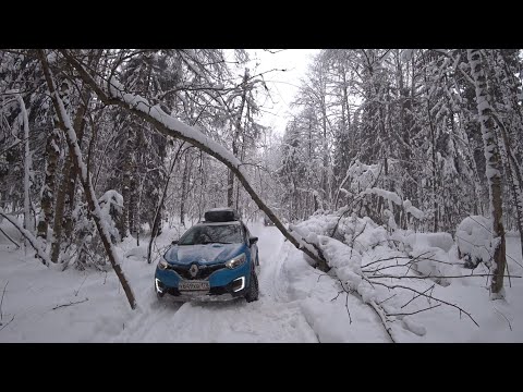 Видео: 17 часов в лесу, Kaptur, Duster, Chevrolet Niva.