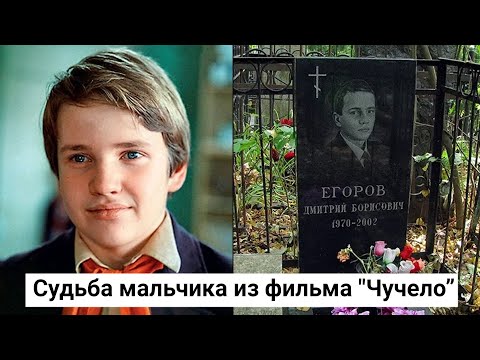 Видео: Дмитрий Егоров. Трагическая судьба мальчика из фильма "Чучело"