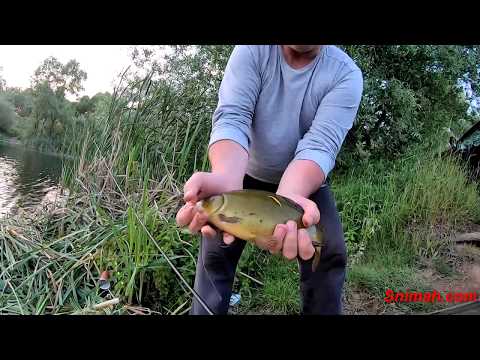 Видео: Риболов по китайски на езерото Тръстов дол в Перник и баластриерата на Световрачане