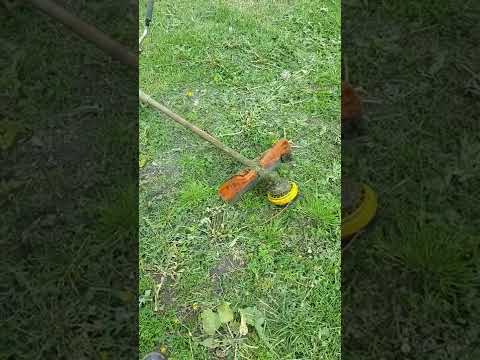 Видео: Честный отзыв о четырехтактной косе DAEWOO DABC 4ST