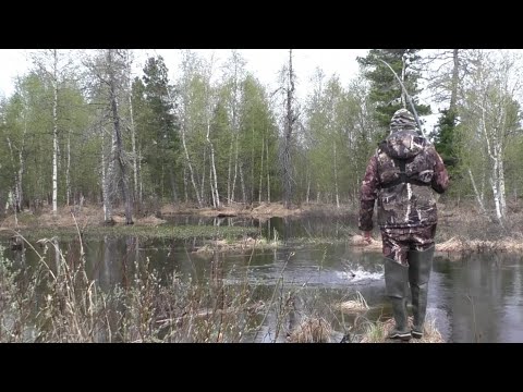 Видео: НА ЛАМБАДЕ В ДЕБРЯХ РЫБА КЛЮЁТ КРУПНЕЕ!! Вся рыба стоит на протоке.!! ТАЙГА. СИБИРЬ. Рыбалка 2023г