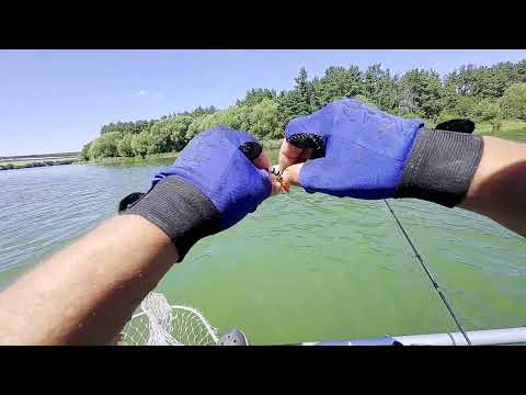 Видео: Південний Буг. Спінінг. Пошук судака і окуня.